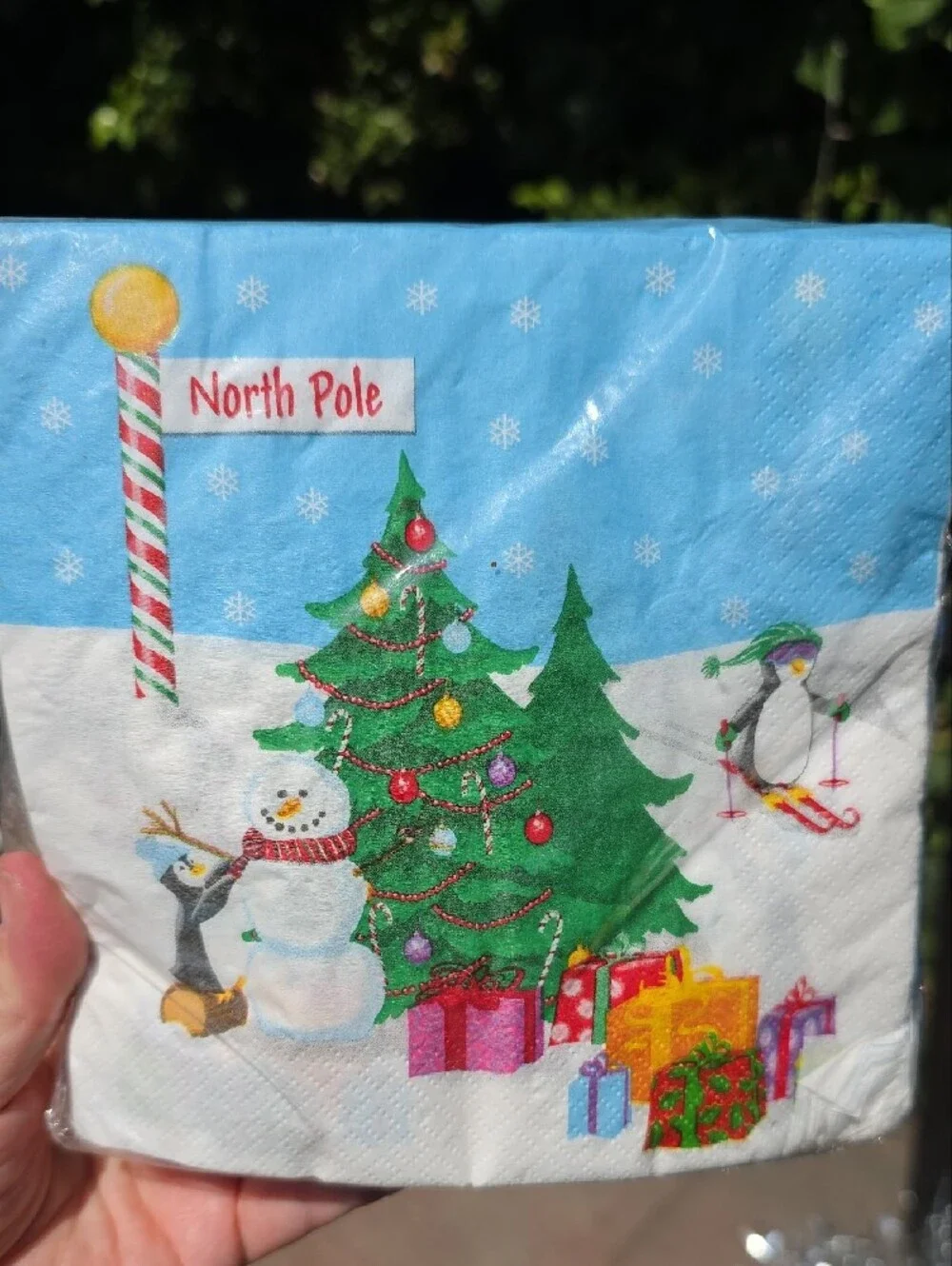 Holiday Party Napkin Pack - Festive Red, Green, Blue Designs